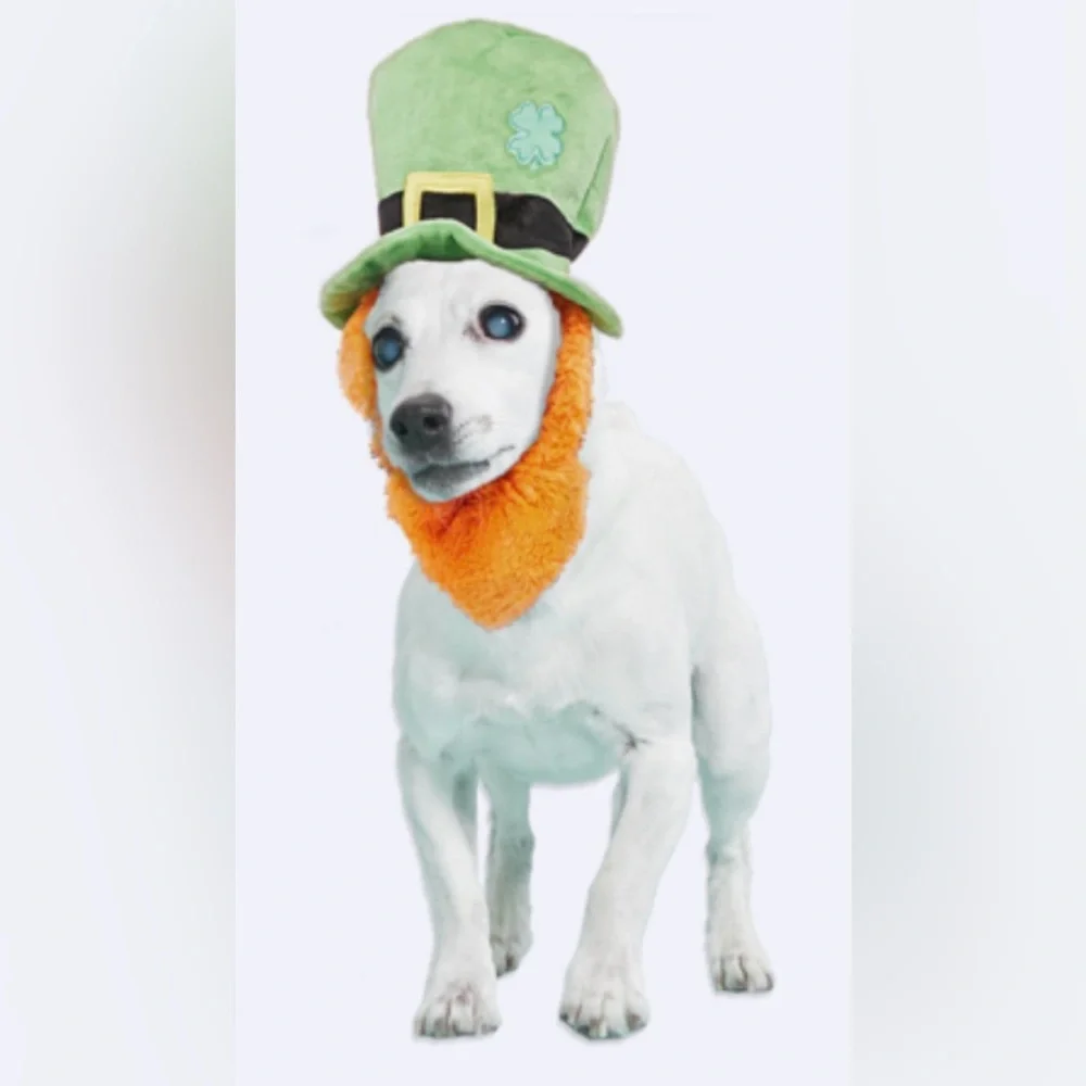 Bark Box St Pups Lucky Hat M-L Dog wearable Dog toy NEW St Patrick’s Day